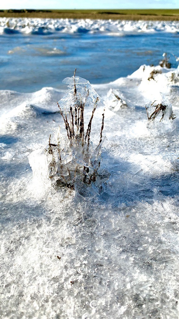 IMG_3187 | Björn Thiemann; Ogenblick.de; Fotografie; Photograph; Landscape, Pellworm, Schleswig-Holstein; Inselfotograf; Inselfotografien; Wattenmeer; National-Park; Naturschutzgebiet; Leuchtturm; Lighthouse; Leinwandbilder; Kalender; Pellworm Kalender;  - Realisiert mit Pictrs.com
