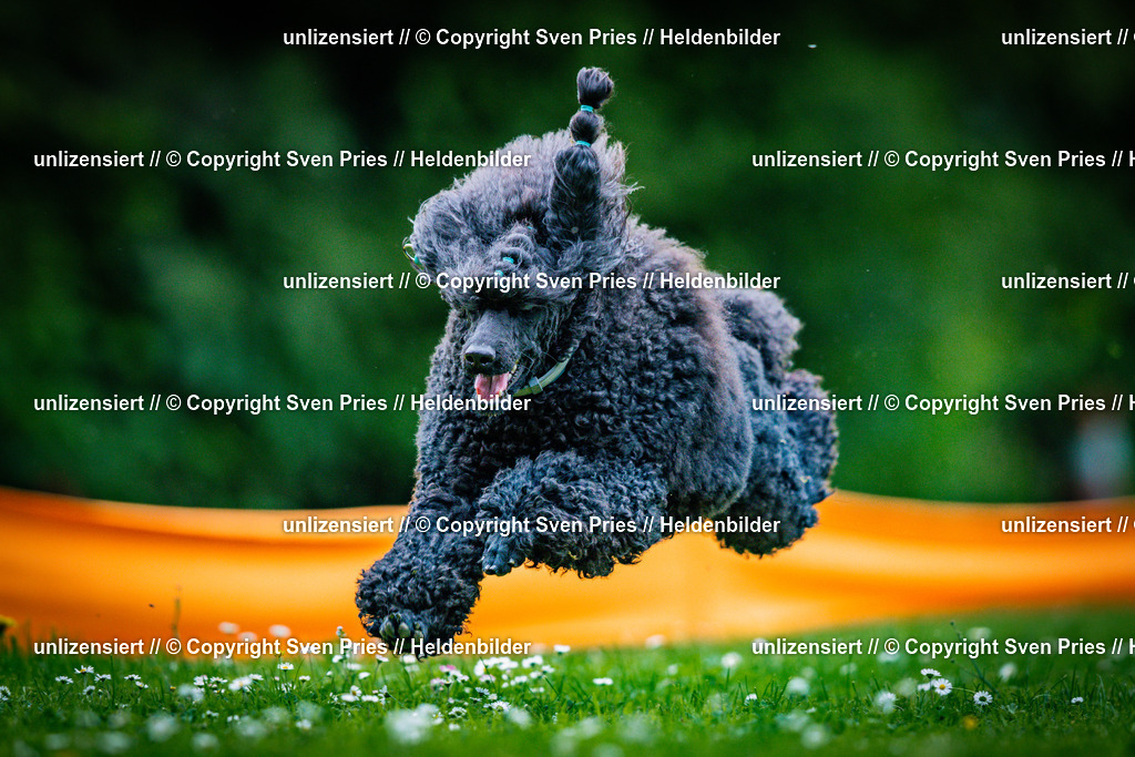 Sven Pries | 2025-05-29 - Pudelrennen KA-Durlach - Realisiert mit Pictrs.com