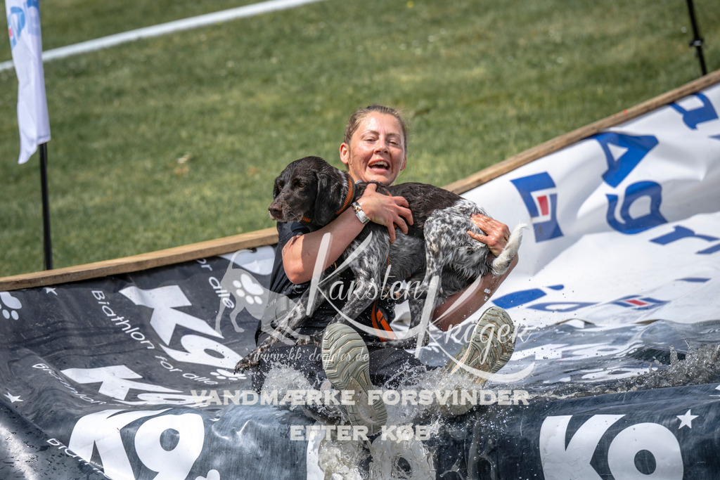 1155_ZZ94302 | kk-dogfotos