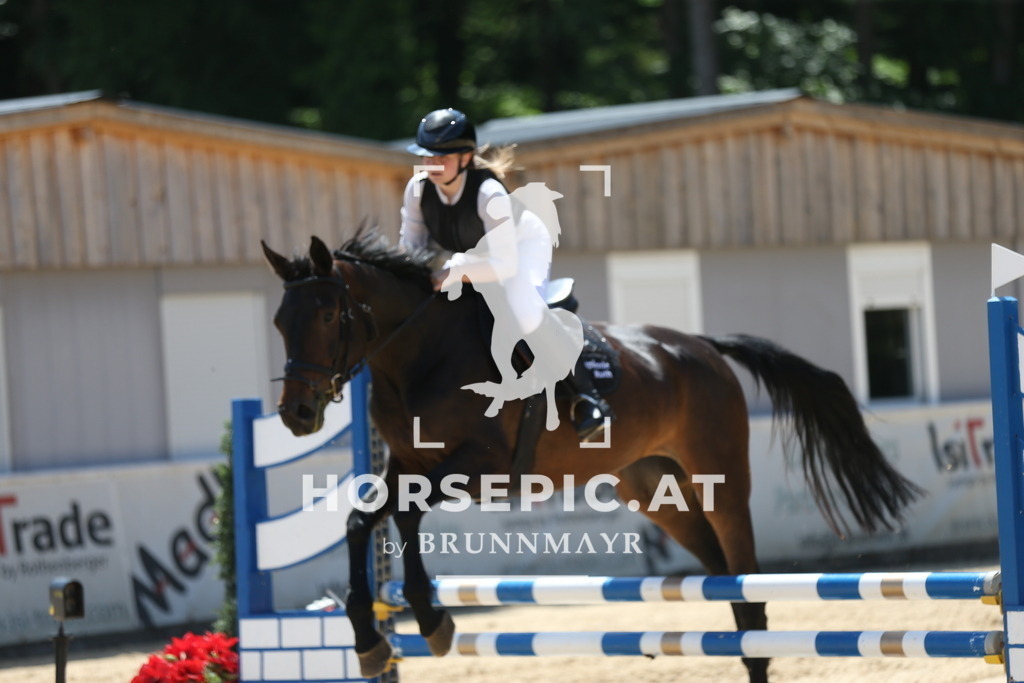 PP014374 | Willkommen bei Brunnmayr - Design & Fotografie – Ihrem Spezialisten für Reitturniere und Pferdeveranstaltungen in Oberösterreich, Salzburg und Bayern! Seit über 17 Jahren sind wir leidenschaftlich dabei.