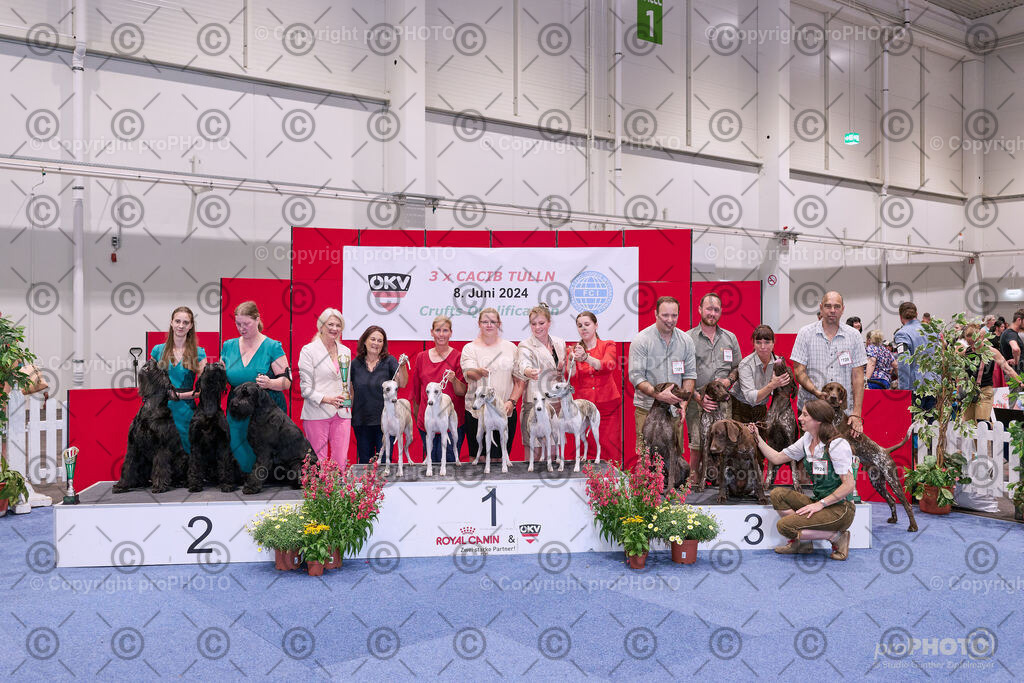 202406_ÖKV-IHA-Tulln24_NZ9_8639 | proPHOTO - Realisiert mit Pictrs.com