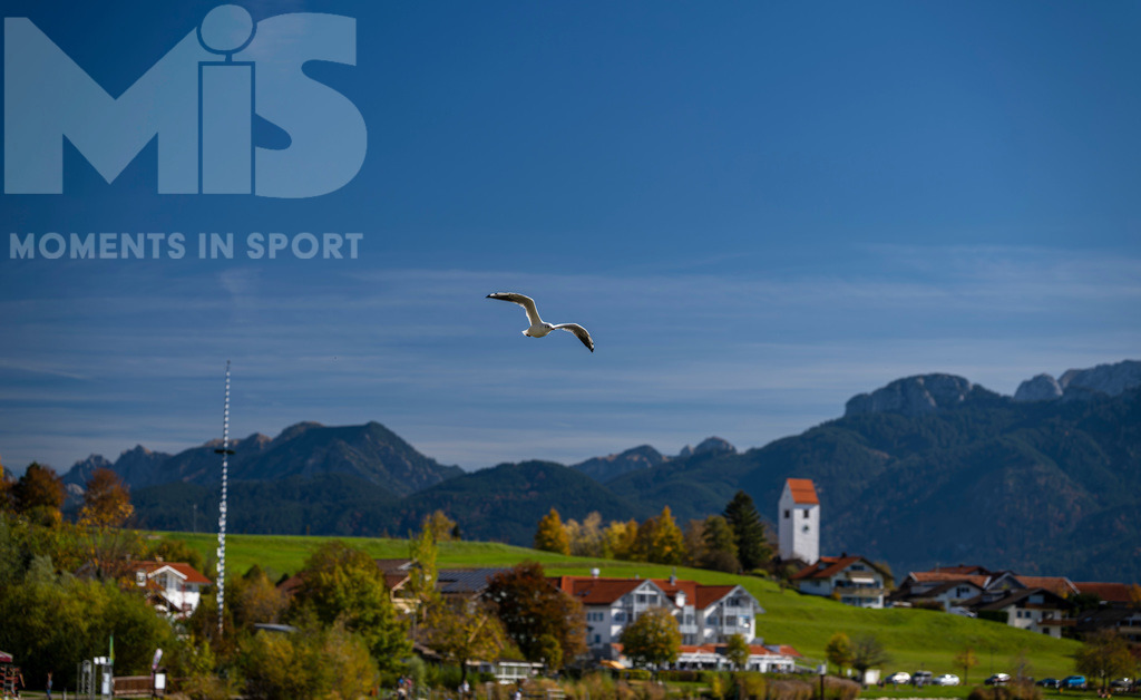 2.Liga-1860-HEIM.jpg | 17.10.2022, Herbst am Hopfensee im Allgäu (Bayern) bei Füssen. Eine Möwe streicht auf Nahrungssuche über den See.  - Realisiert mit Pictrs.com