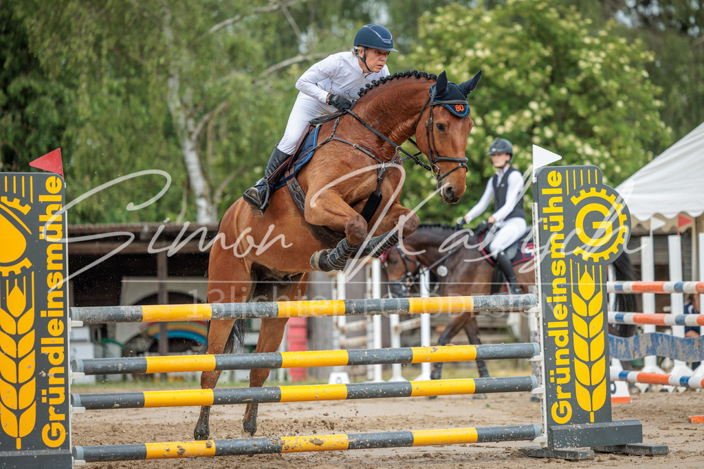 20260530-_3LI2753 | Tierfotografie Pferde, Hunde, Katzen, Haustiere.
Turnierfotografie Reitturniere, Reiten, Springreiten, Dressur in Hanau, dem Main-Kinzig-Kreis und dem Rhein-Main- Gebiet um Frankfurt