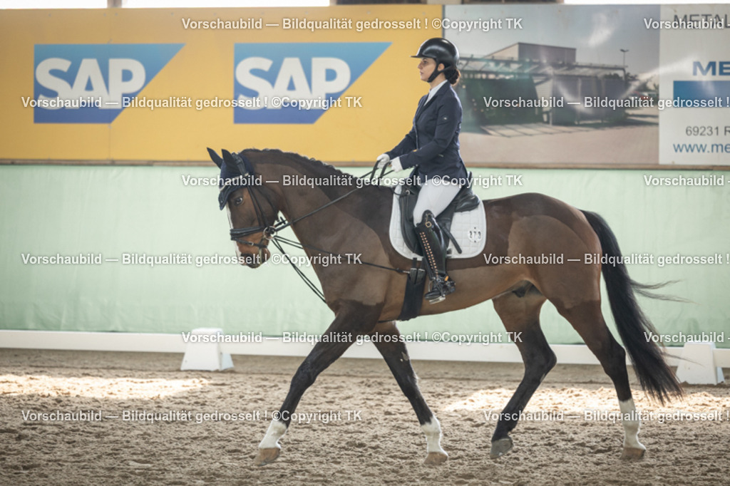 _D5A5448 | Emotionale Pferde- & People-Fotografie rund um Heidelberg, Leimen & Umgebung. Natürliche Fotos von Pferd, Mensch & Familie. Jetzt Termin sichern!