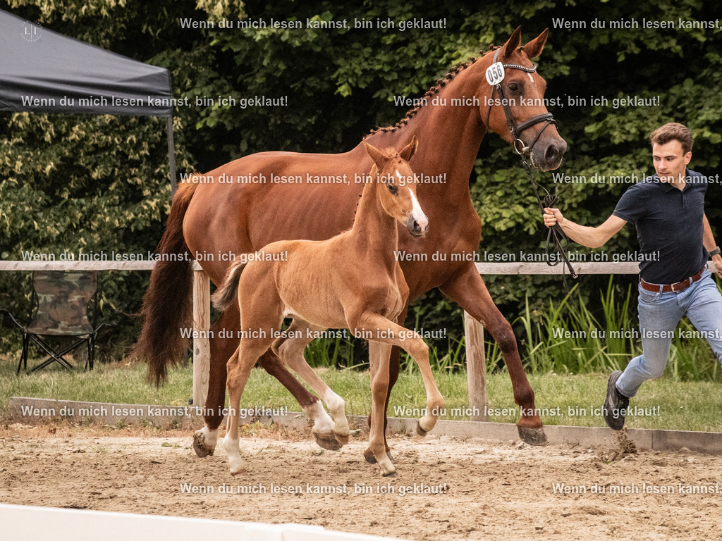 A10I5658 | photographylinaismer - Realisiert mit Pictrs.com