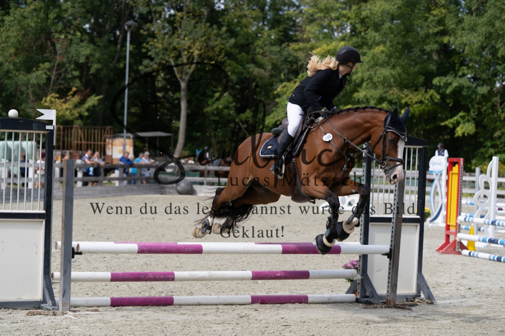 A7V07376 | Turnier/Reitfotograf