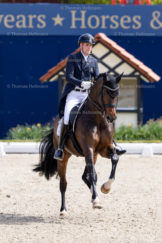 TH_333-WANDRES Frederic (GER)_ Fänomen de Malleret_36622 | Horses &amp; Dreams 2026 am 26.04.26 in Hagen a.T.W., Thomas Hellmann, 333WANDRES Frederic (GER), Fänomen de Malleret