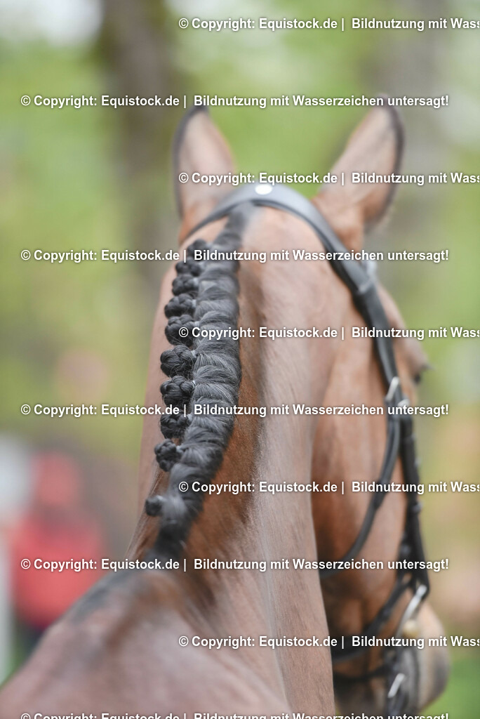 20230514_Impressionen_0170 | equistock