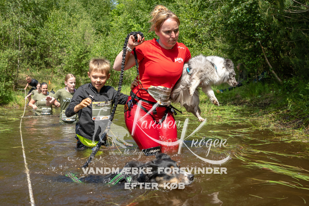 1212DKK992164 | kk-dogfotos