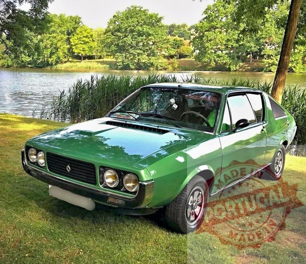 Renault 17 vintage coupe parked by lake | Green classic Renault 17 car sitting on grass near a serene lake - Realized with Pictrs.com