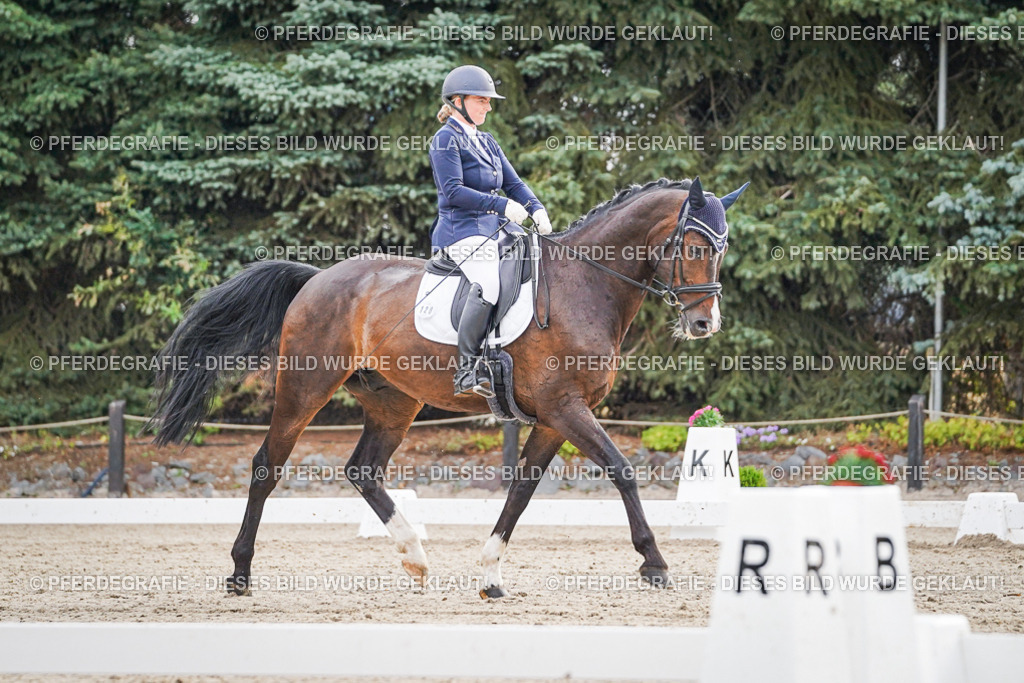 DSC00200 | Pferdegrafie