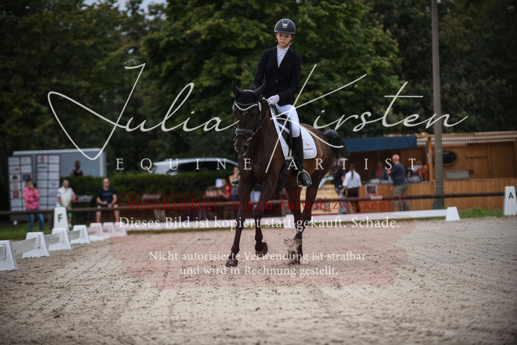 DSC_7933 | Pferde- und Turnierfotografie in Westsachsen. Pferdeportraits, Auftragszeichnungen und intuitive Kunst.