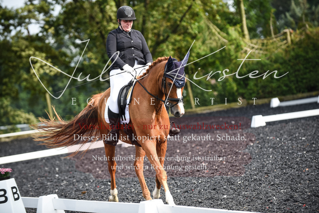 DSC_3052 | Pferde- und Turnierfotografie in Westsachsen. Pferdeportraits, Auftragszeichnungen und intuitive Kunst.