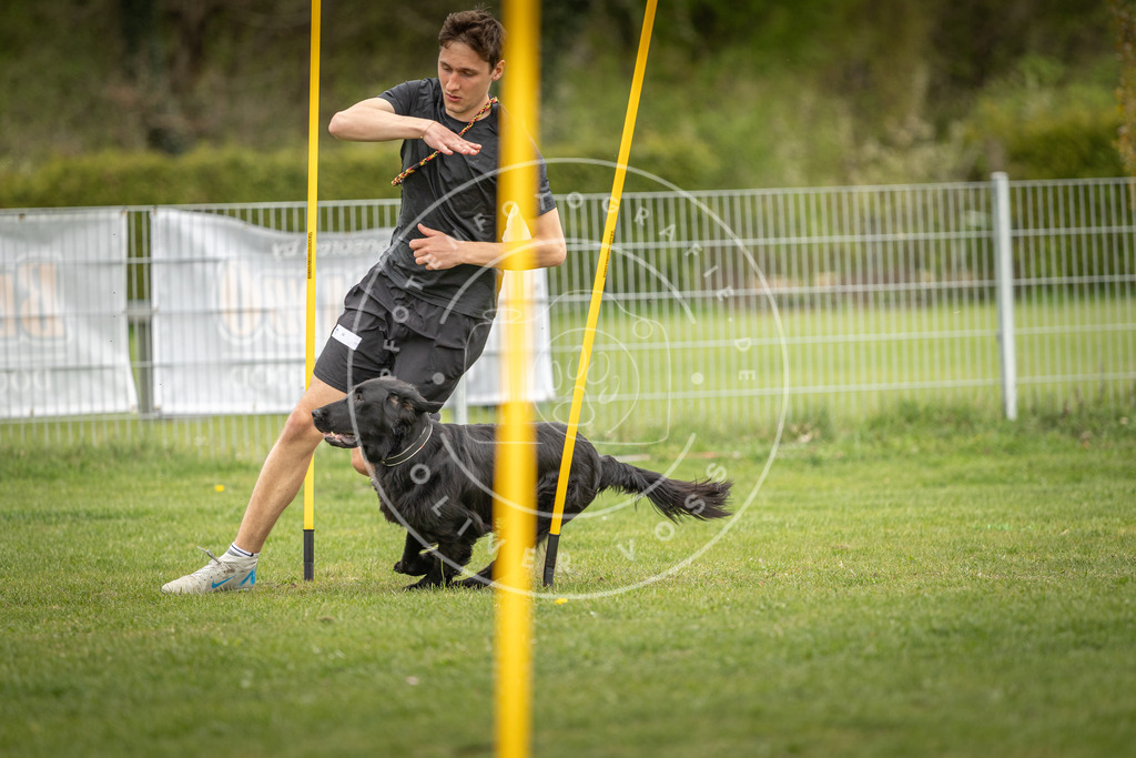 Pfotenfotografie_DV3A9828 | Hundefotografie, Tierfotograf, Pfotenfotografie, Fotoshooting Hund, Hunde Portrait, Hundesport, Hundeportraits, Heideshooting, Hunde, Sportfotograf, Hundefotograf, Turnierhundsport, THS,  - Realisiert mit Pictrs.com