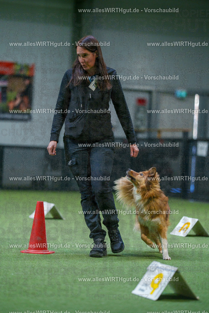 7R502971 | Professionelle Tierfotografie in Mönchengladbach von Daniel Wirth (allesWIRTHgut). Liebevolle & natürliche Bilder von Hunden & Katzen für unvergessliche Erinnerungen.