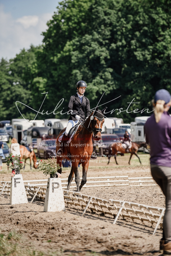 DSC_0466 | Pferde- und Turnierfotografie in Westsachsen. Pferdeportraits, Auftragszeichnungen und intuitive Kunst.