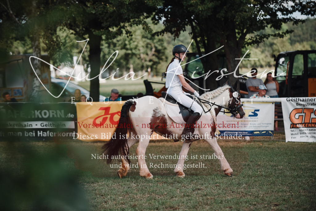 DSC_5589 | Pferde- und Turnierfotografie in Westsachsen. Pferdeportraits, Auftragszeichnungen und intuitive Kunst.