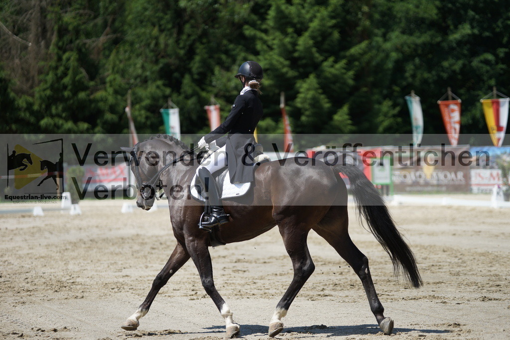 DSC03247 | equestrian-live-com