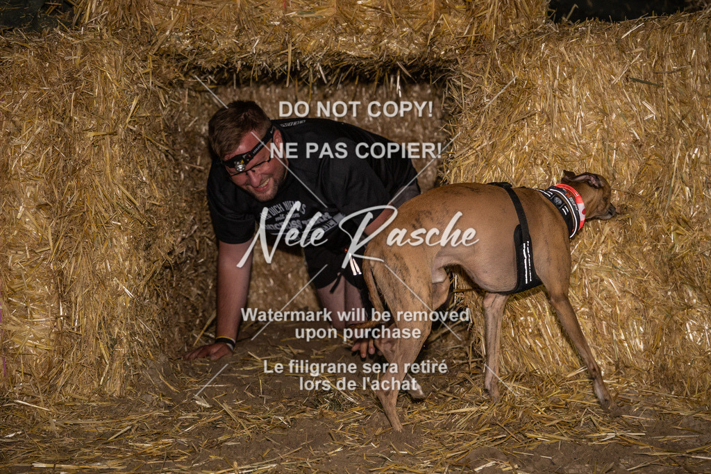 nelerasche_FrNacht_426 | nelerasche