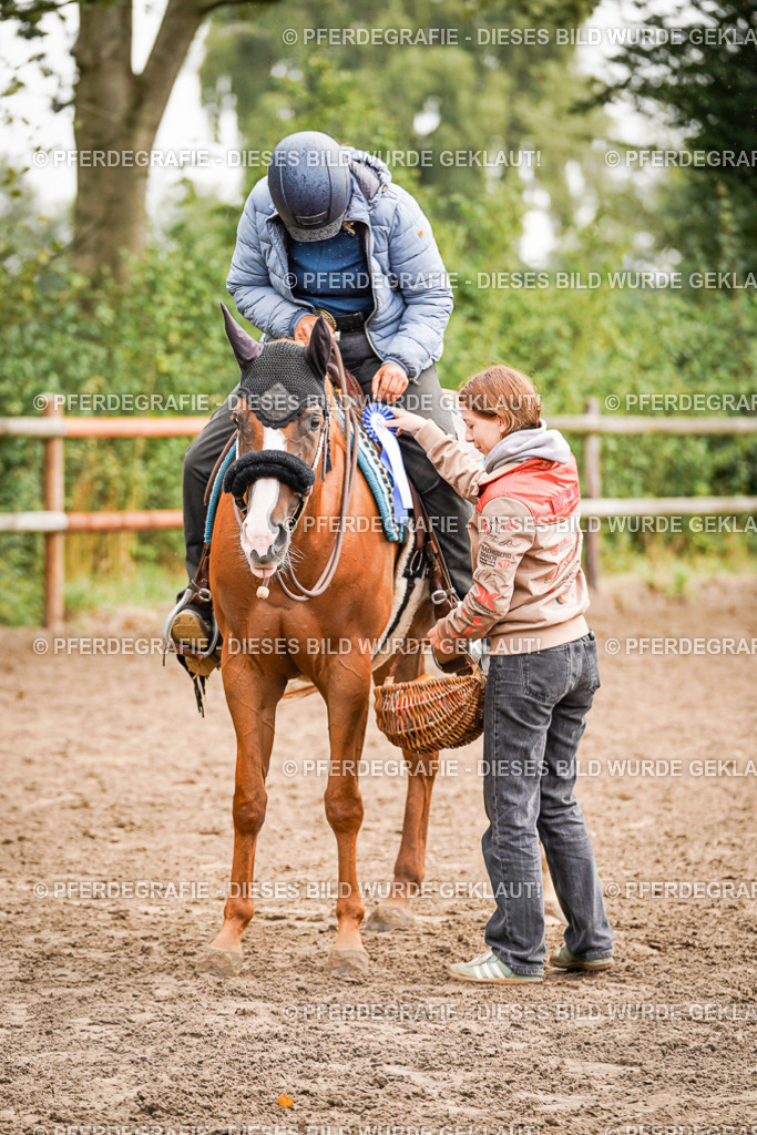 DSC04586 | Pferdegrafie