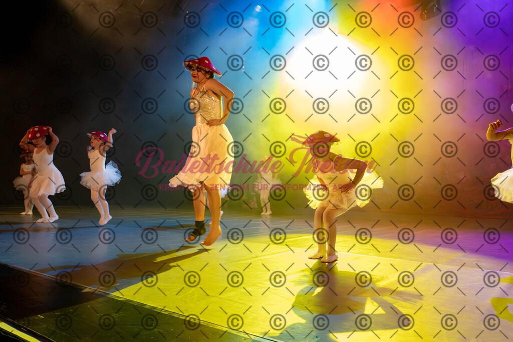 Ballettaufführung-62 | Bildershop Lem'n Entertainment - Realisiert mit Pictrs.com