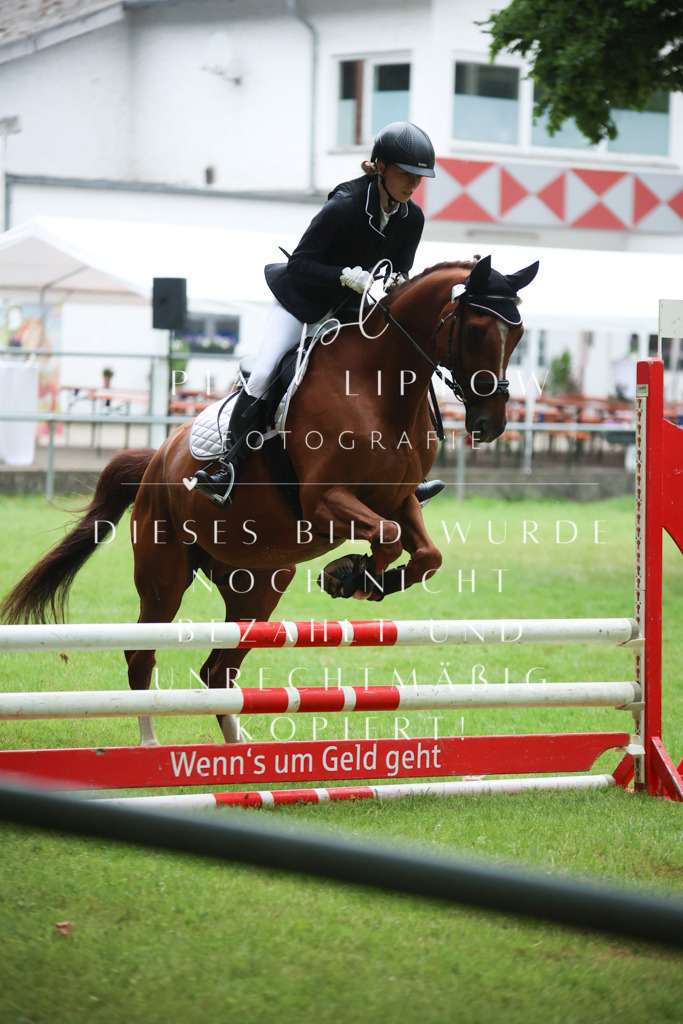 IMGM4837 | pl-fotografie