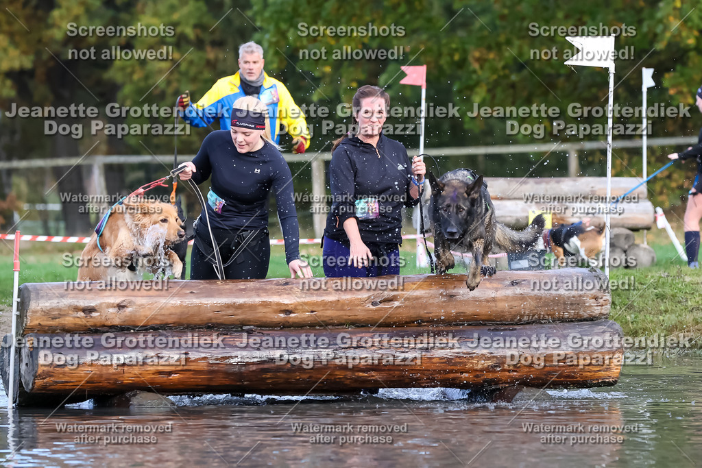 Dog Paparazzi - Strongdog 10-25-6960 | Dog Paparazzi Jeanette Grottendiek Fotografie & Videografie - Realisiert mit Pictrs.com