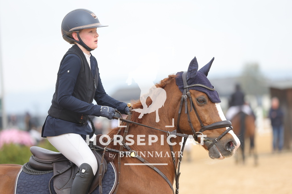 0P6A8776 | Willkommen bei Brunnmayr - Design & Fotografie – Ihrem Spezialisten für Reitturniere und Pferdeveranstaltungen in Oberösterreich, Salzburg und Bayern! Seit über 17 Jahren sind wir leidenschaftlich dabei.