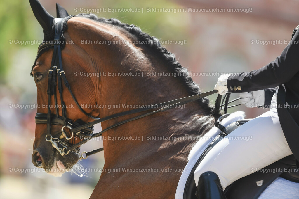 20230527_01_GP-Kür-Tour_0180 | equistock