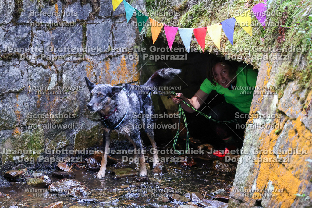 Dog Paparazzi -  TH 26-520 | Dog Paparazzi Jeanette Grottendiek Fotografie & Videografie - Realisiert mit Pictrs.com