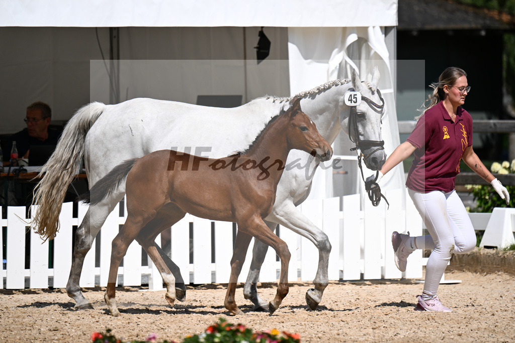 Kat-Nr. 45 Va Bene x Levisonn_SF_Parama_29251277 | hf-fotografie - Realizzato con Pictrs.com