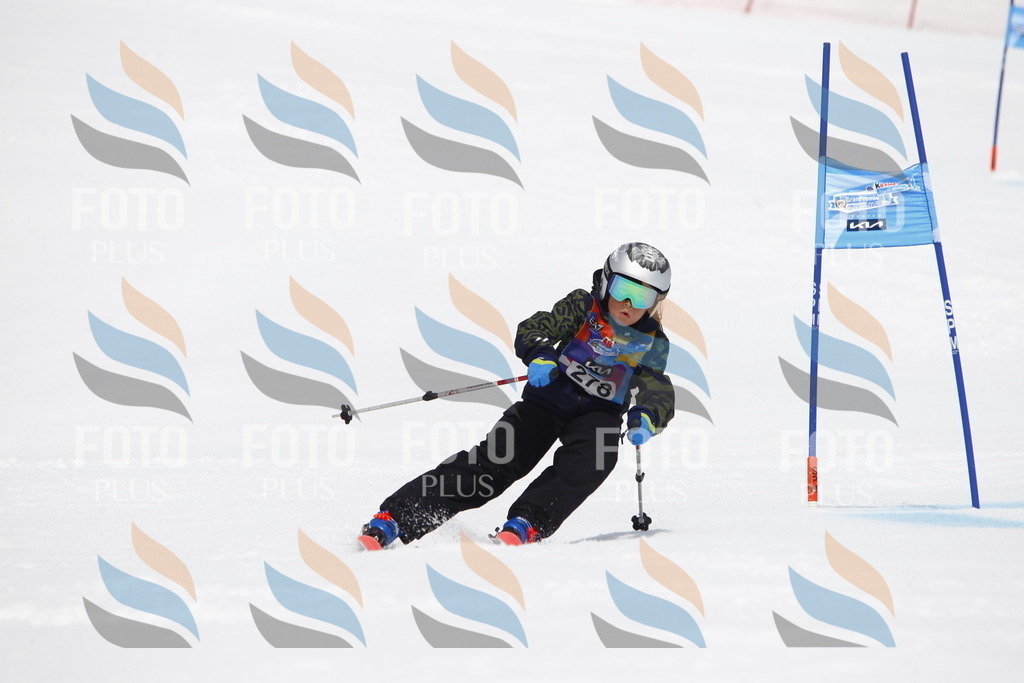 _U3G6967 | holidayphoto