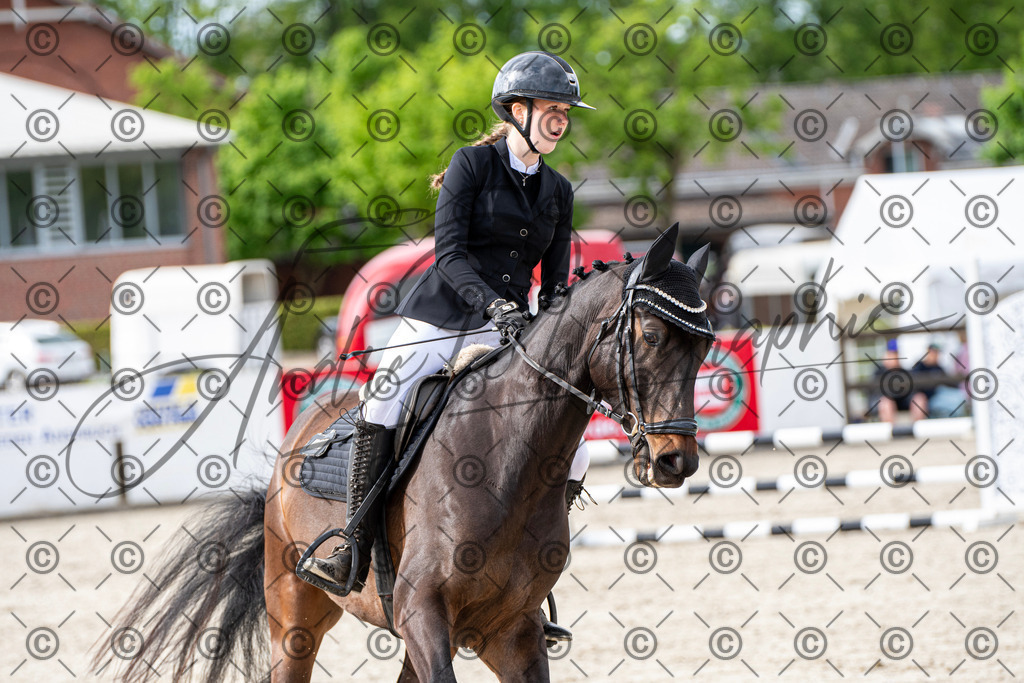 KPT_6521 | andre_photographic