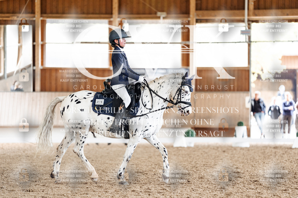 CK901429 | Turnierfotografie Pferdefotografie Trier Rheinland-Pfalz Pferdesport Reitsport Tierfotografie Sportfotografie Pferdevideo Pferdevideografie Equestrianvideography equestrianphotography  - Realisiert mit Pictrs.com