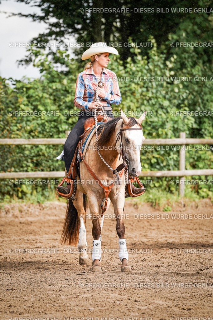 DSC09272 | Pferdegrafie