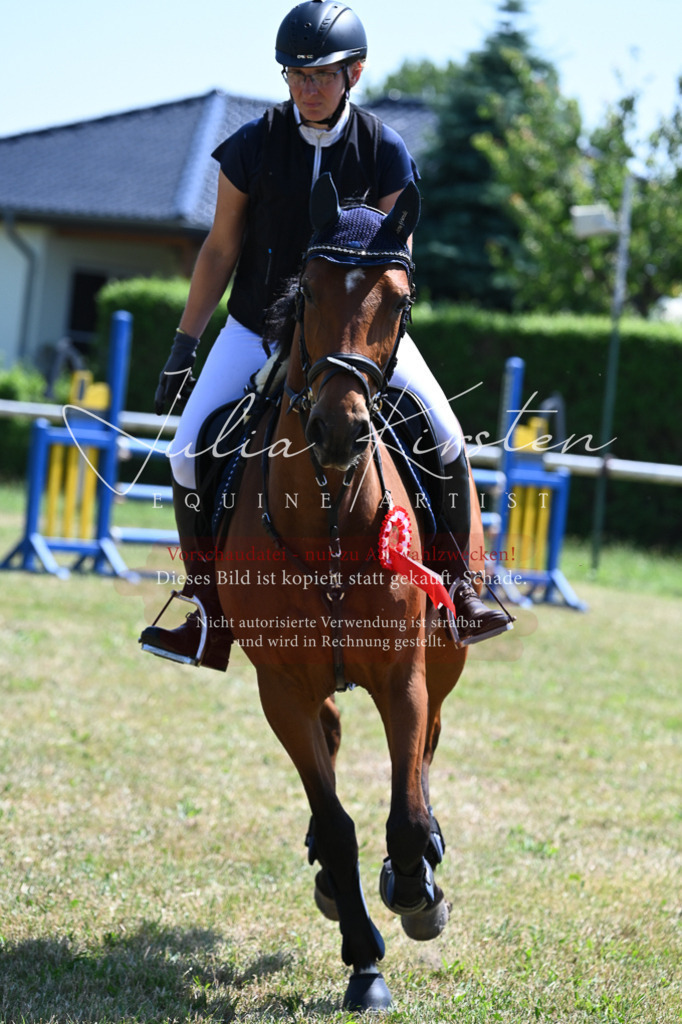 DSC_0909 | Pferde- und Turnierfotografie in Westsachsen. Pferdeportraits, Auftragszeichnungen und intuitive Kunst.