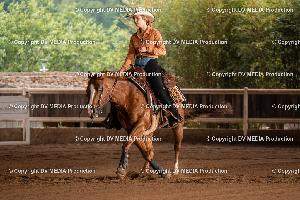 Erbach Tag 2-787 | dv-media-shop - Realisiert mit Pictrs.com