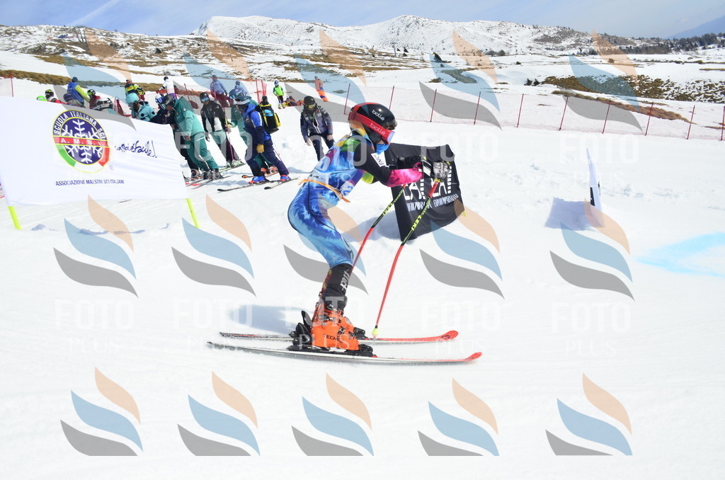 _ELE1742 | holidayphoto