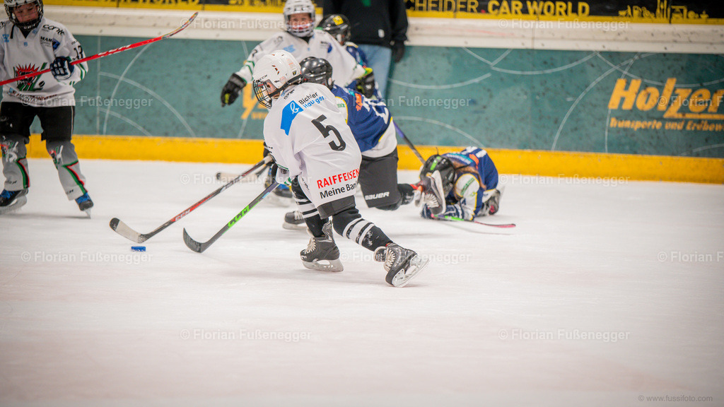 CDEF96F3-EE63-4DBC-B608-BF7724B85F0D | "Fussifoto.com – Ihr Ansprechpartner für hochwertige Fotografie! Entdecken Sie kreative Bilder und professionelle Dienstleistungen. Kontaktieren Sie uns für Ihre Projekte!"