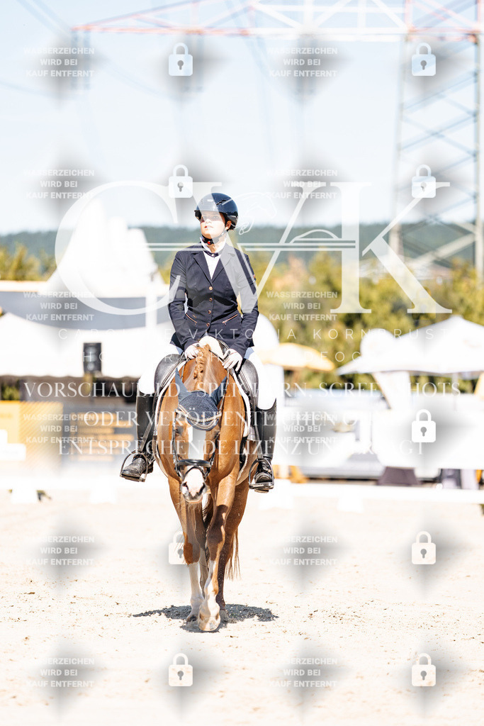 CK909248 | Turnierfotografie Pferdefotografie Trier Rheinland-Pfalz Pferdesport Reitsport Tierfotografie Sportfotografie Pferdevideo Pferdevideografie Equestrianvideography equestrianphotography  - Realisiert mit Pictrs.com
