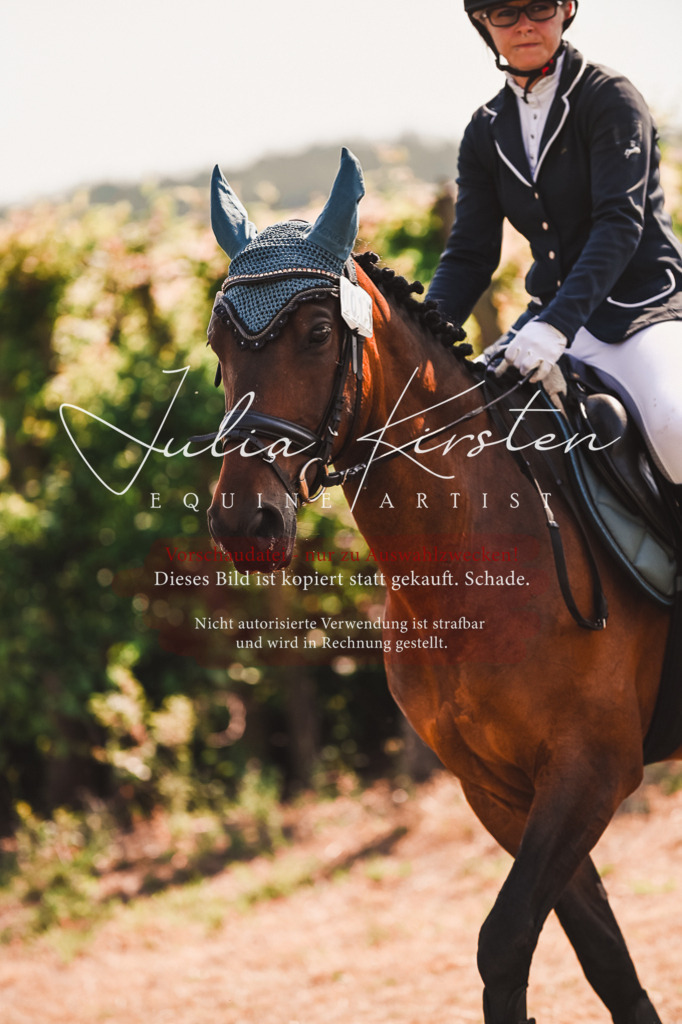 DSC_7336 | Pferde- und Turnierfotografie in Westsachsen. Pferdeportraits, Auftragszeichnungen und intuitive Kunst.
