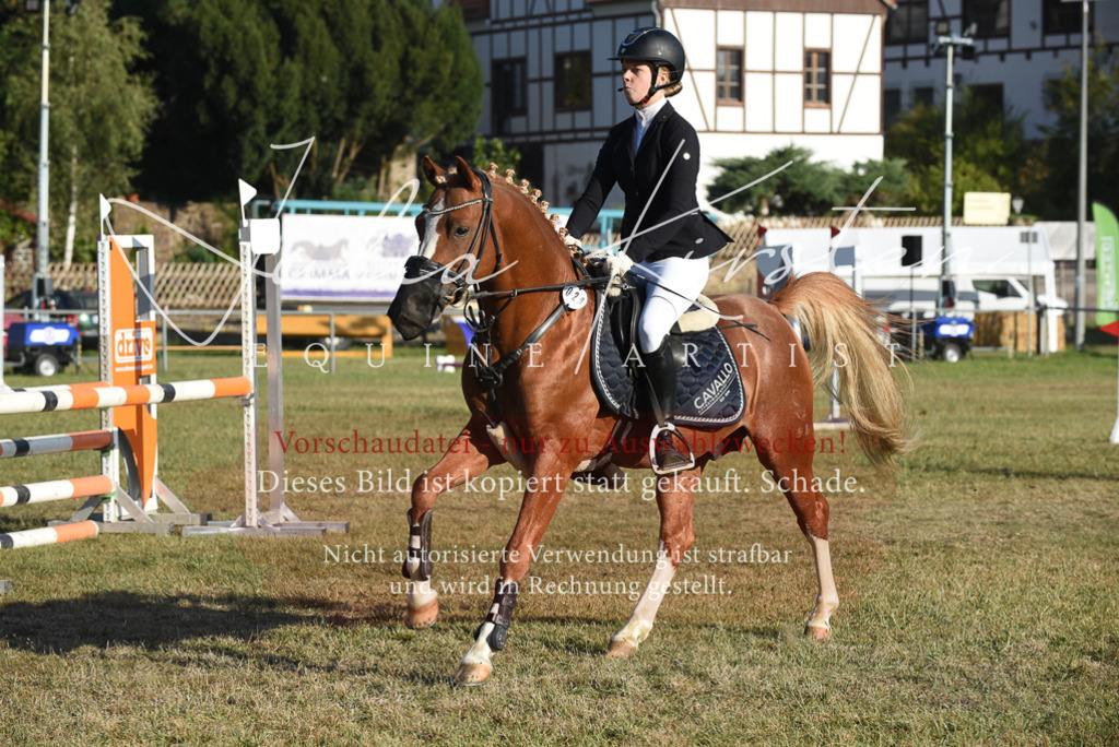 DSC_4986 | Pferde- und Turnierfotografie in Westsachsen. Pferdeportraits, Auftragszeichnungen und intuitive Kunst.