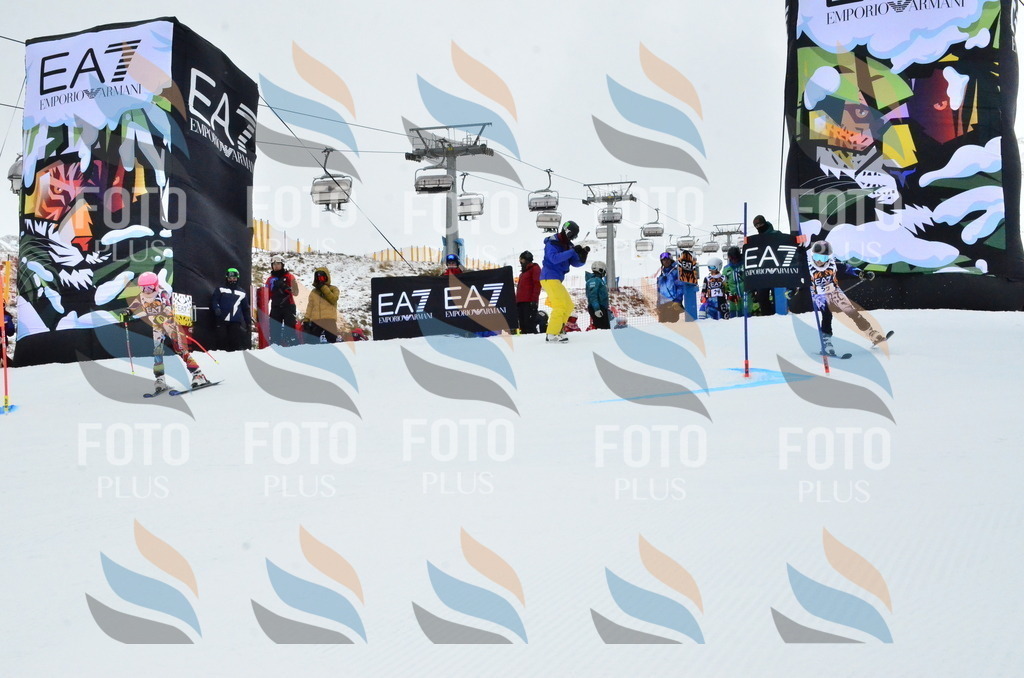 _ELE3232 | holidayphoto