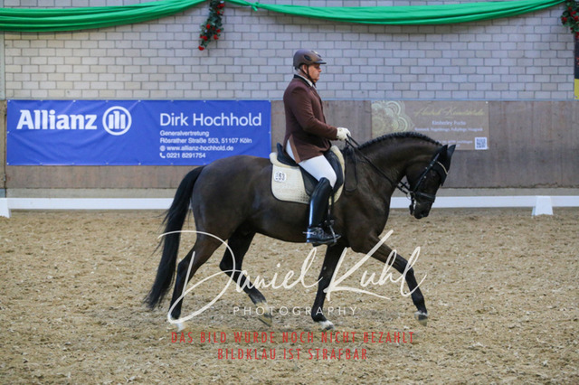 IMG_2831 | Turnierfotos kaufen im Webshop von Daniel Kuhl Photography – entdecke professionelle Reitsportfotos aus Turnieren & Events. Hochwertige Turnierbilder online bestellen & sichern. Jetzt Fotos von Reitsportturnieren kaufen!