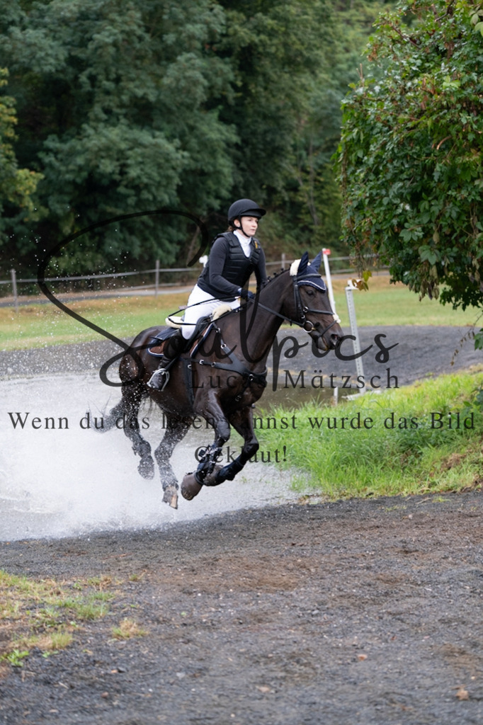 A7V00057 | Pferdefotograf