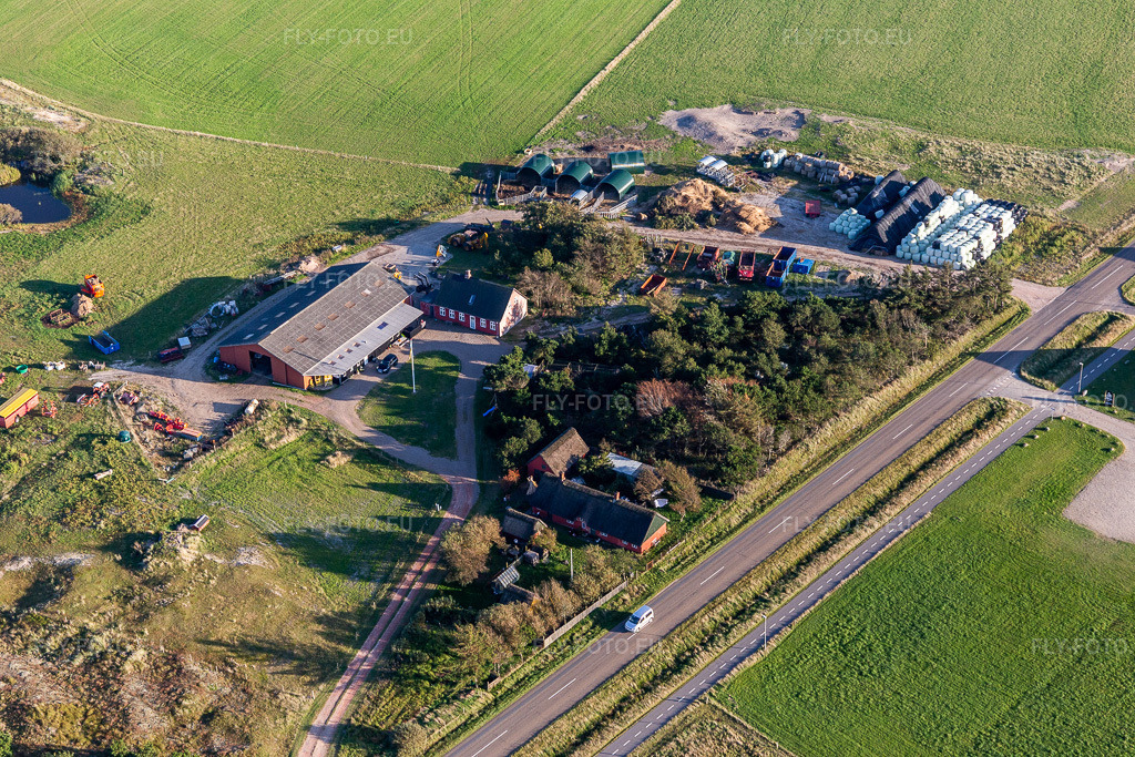 Vue aérienne: Magasin à la ferme / Gardbutik Byens Grønning à Fanø dans le département Syddanmark, Danemark. Photo: IMG_118822.jpg prise le 21/09/2019 par Werner Riehm/FLY-FOTO.euRésolution de l'original: 5472 x 3648 px