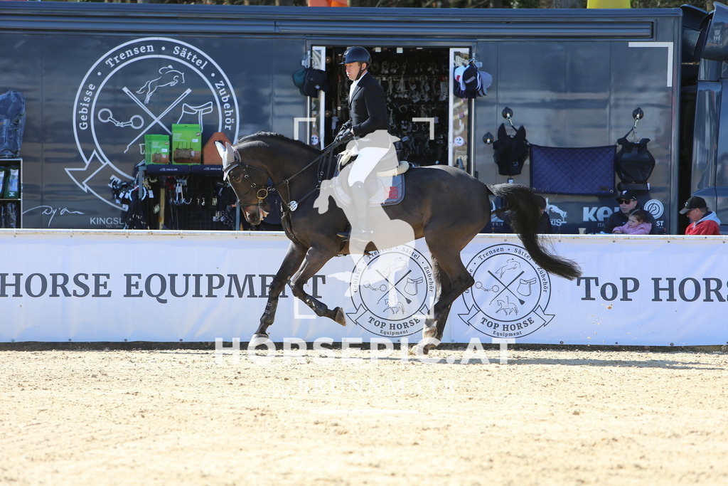 DL2Q4598 | Willkommen bei Brunnmayr - Design & Fotografie – Ihrem Spezialisten für Reitturniere und Pferdeveranstaltungen in Oberösterreich, Salzburg und Bayern! Seit über 17 Jahren sind wir leidenschaftlich dabei.