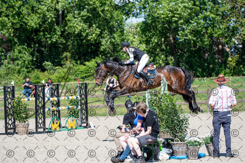 KPT_1260 | andre_photographic