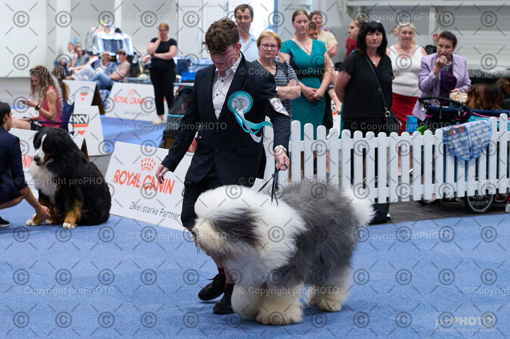 202406_ÖKV-IHA-Tulln24_DSC_2887 | proPHOTO - Realisiert mit Pictrs.com