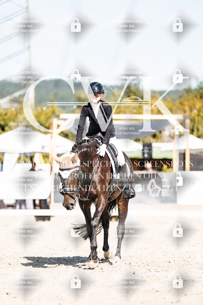 CK908511 | Turnierfotografie Pferdefotografie Trier Rheinland-Pfalz Pferdesport Reitsport Tierfotografie Sportfotografie Pferdevideo Pferdevideografie Equestrianvideography equestrianphotography  - Realisiert mit Pictrs.com